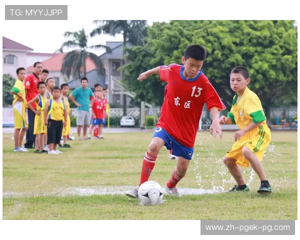 足球运动理想主义是否在青训体系中推动技术流的持续发展