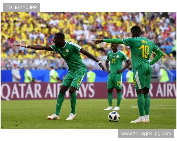 高原主场与海岸劲旅：足球美洲杯地理优势全解析